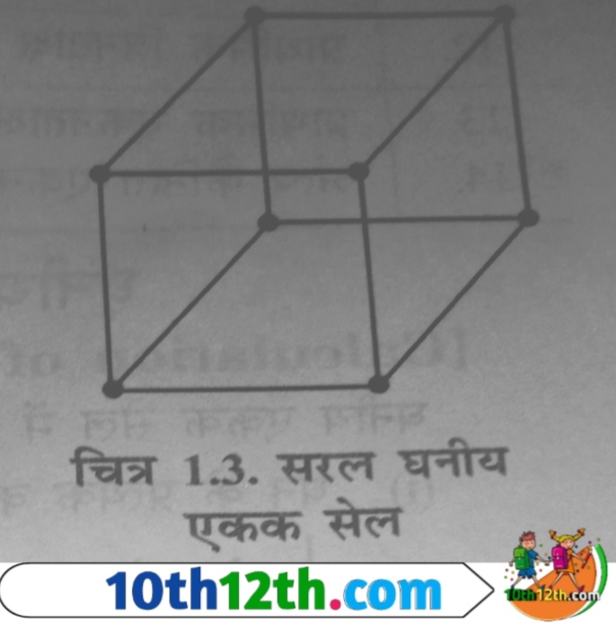 एकक सेल के केवल कोनो (corners) पर जालक बिंदु होने पर यह प्राथमिक एकक सेल कहलाता है। उदाहरण- सरल घनी एकक सेल (simple cubic unit cell)।