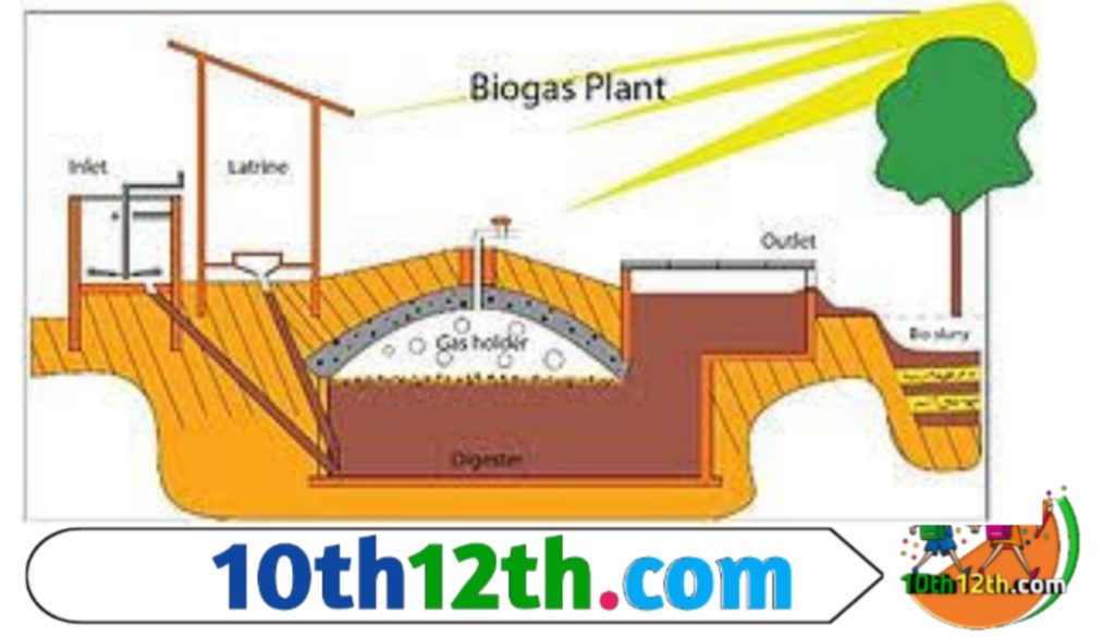 बायोगैस के लाभ और हानि बताइए।