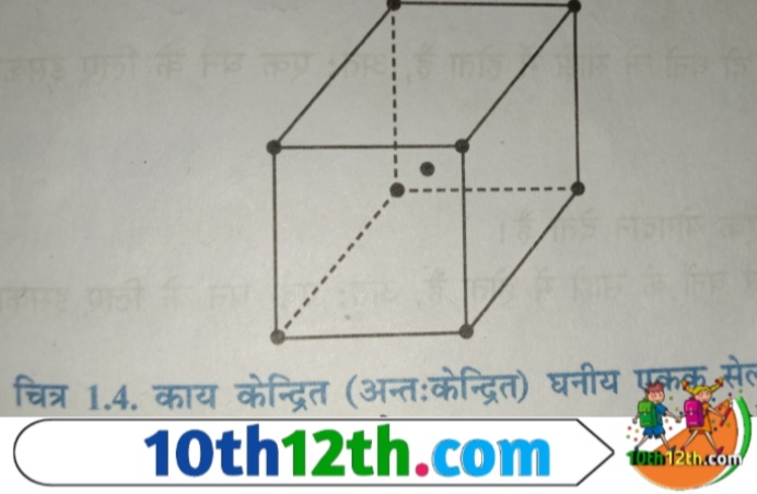 इस एकक सेल में कोनों के अतिरिक्त एक जालक बिंदु, एकक सेल के केंद्र पर पाया जाता है