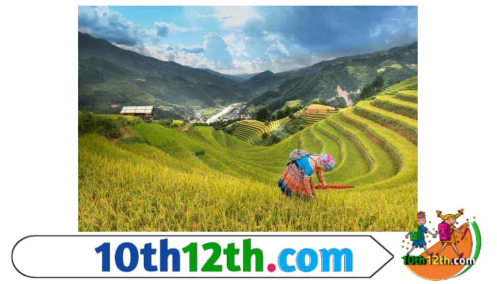 रोपण कृषि को एक सर्वाधिक पूंजी निवेश कृषि के लिए भी जाना जाता है। इस कृषि के अन्तर्गत जिन भी फसलों का उत्पादन किया जाता है उन सभी फसलों में एक बहुत बडी मात्रा में पूंजी का निवेश किया जाता है।