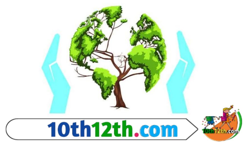 वन हमें दैनिक जीवन में प्रयोग में आनेवाली अनेकानेक वस्तुएँ उपलब्ध कराते हैं। रबड़, गोंद, फल-फूल, कागज, पत्ते, छाल आदि सब इन्हीं से प्राप्त होते हैं।