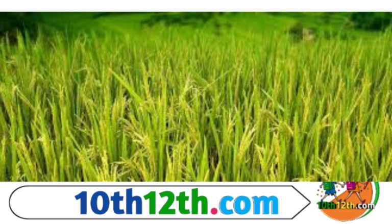 कृषि क्या है- 3 कृषि क्या है